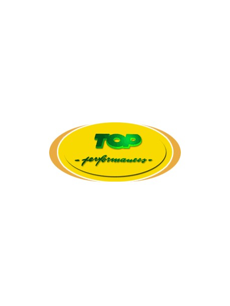 KIT CILINDRO TOP PER PIAGGIO 50 4T 4V