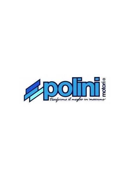 Variatore POLINI PER KYMKO